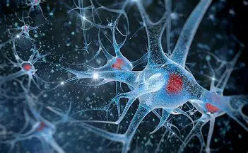 Vaccinations: Myths vs Facts